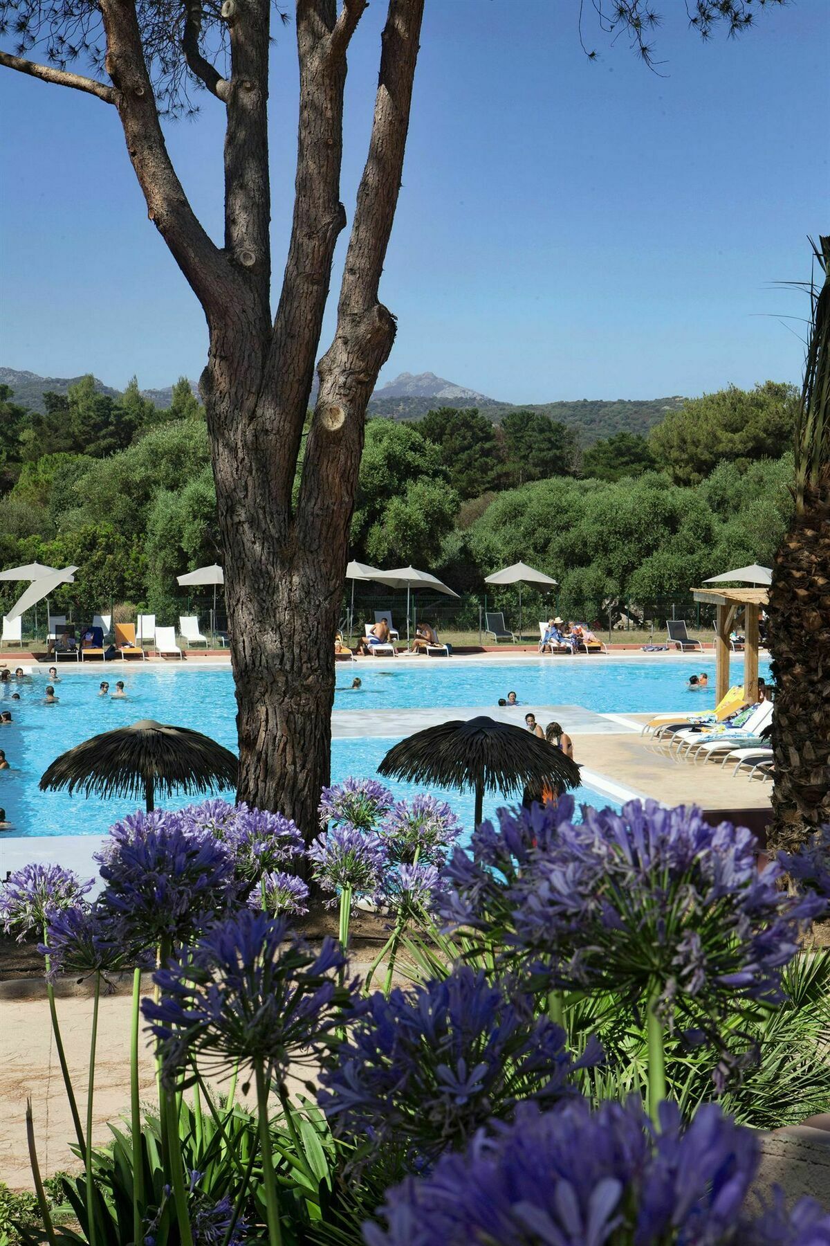 Отель Belambra Clubs Belgodere - Golfe De Lozari Экстерьер фото
